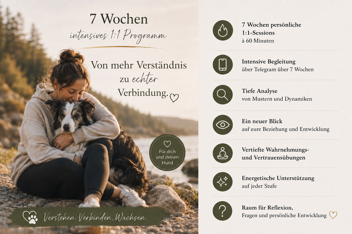 7 Wochen 1:1 Begleitung | HERZ & PFOTE