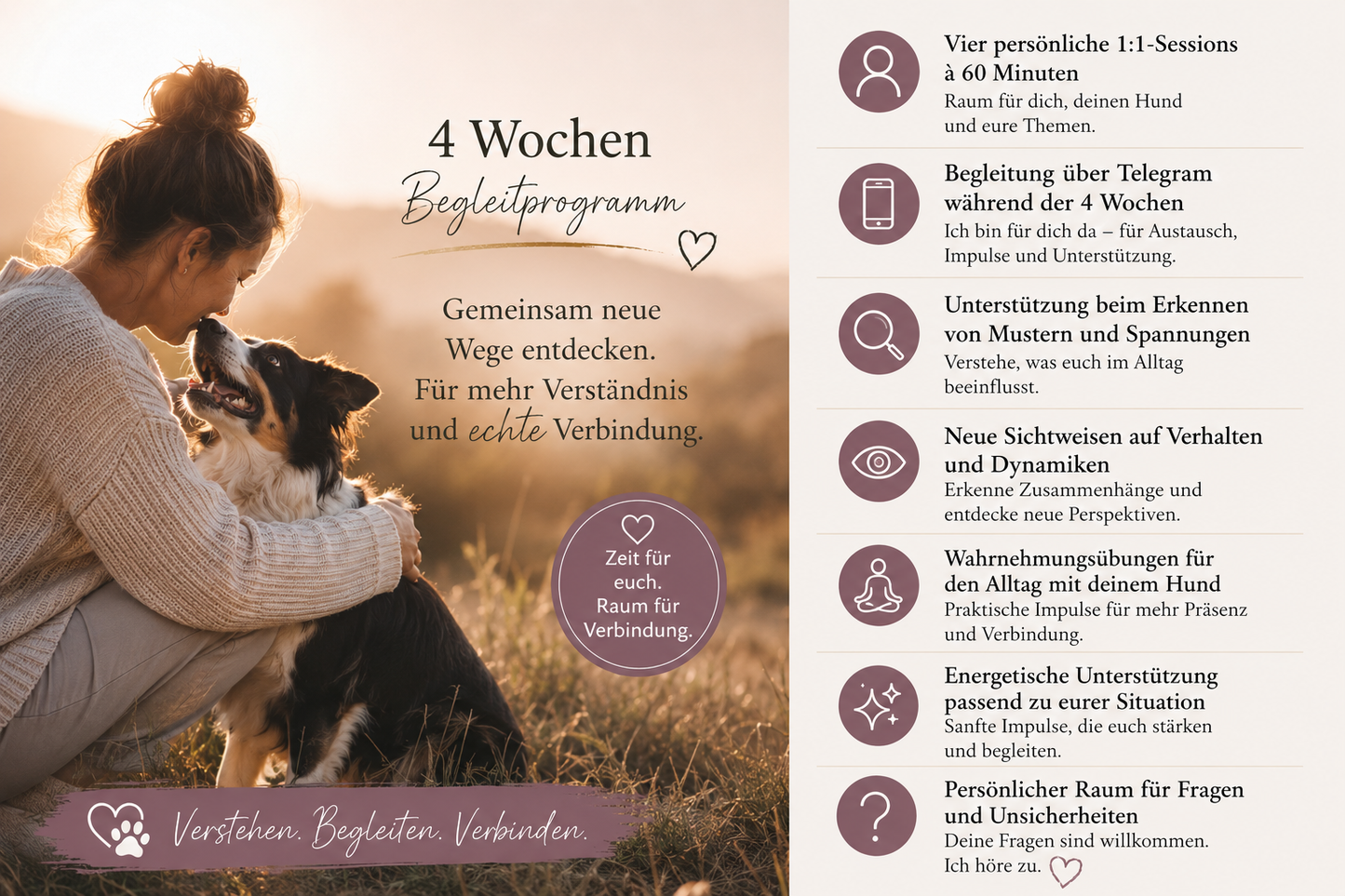 4 Wochen 1:1 Begleitung | HERZ & PFOTE